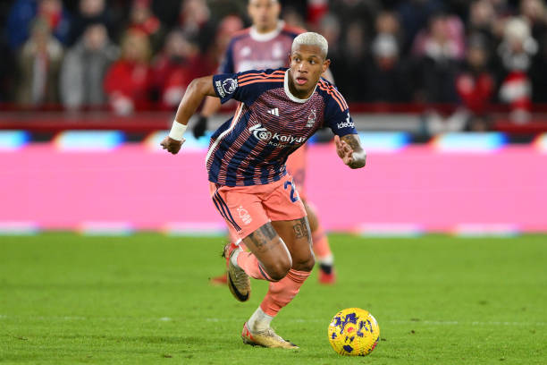 僅能穩定球 僅能穩定球