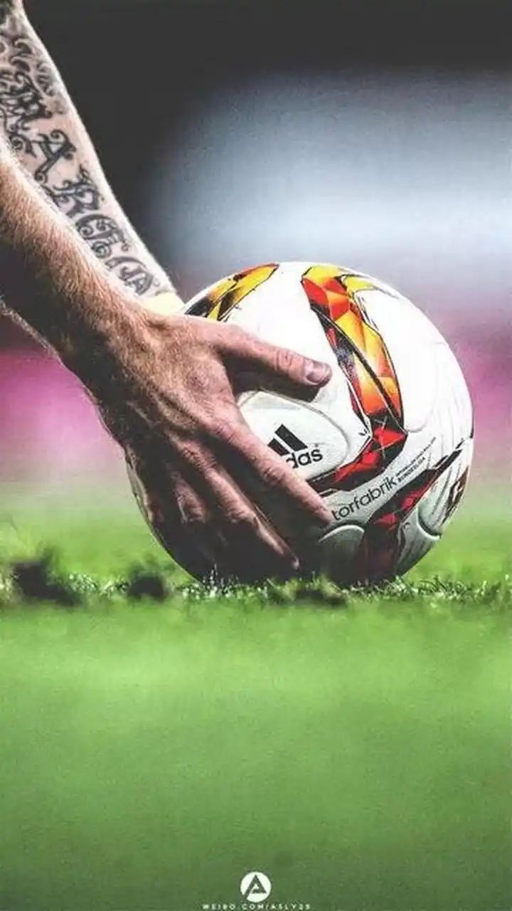 但本場並未 但本場並未